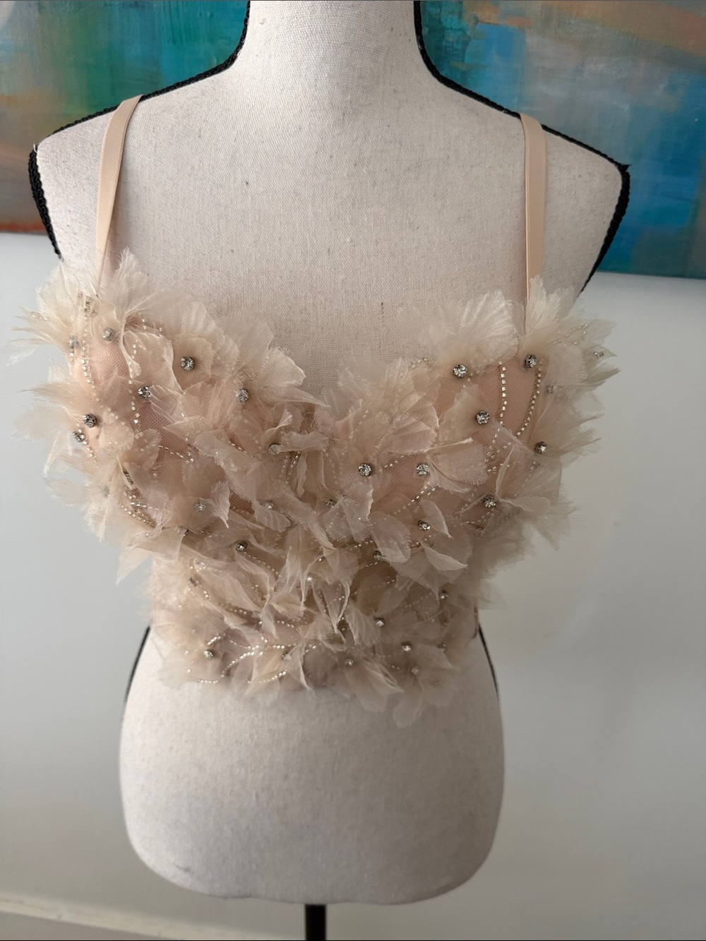 Asertiva Boutique NWT Blush Bustier Corset Rhinestones Beaded Tulle Flowers  S
